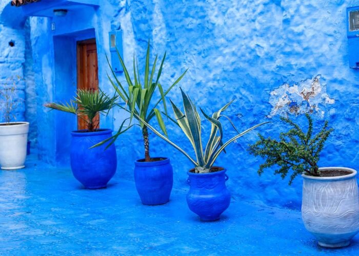 Sahara Desert tour from Casablanca to Chefchaouen