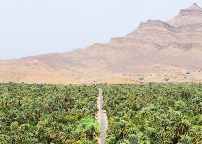 Tour from Tangier to Chefchaouen and the Sahara Desert