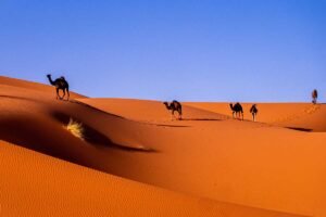 morocco tours & desert trips , morocco multi day tours , morocco tours 2025/2026