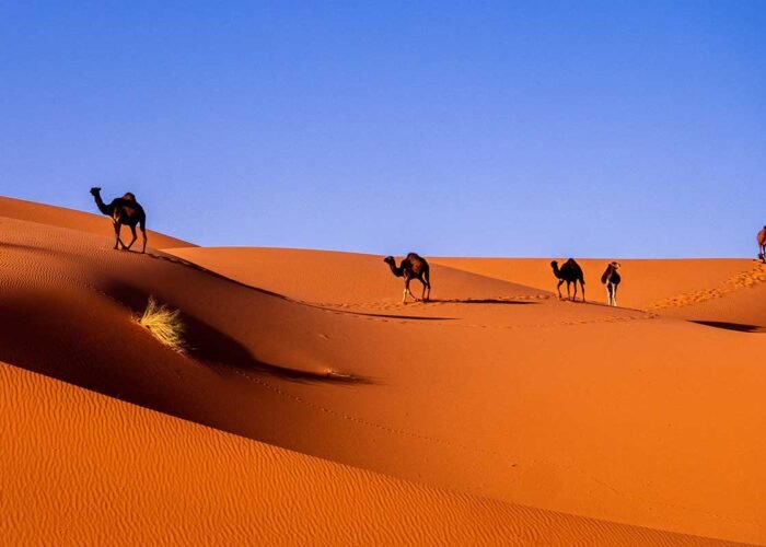 morocco tours & desert trips , morocco multi day tours , morocco tours 2025/2026