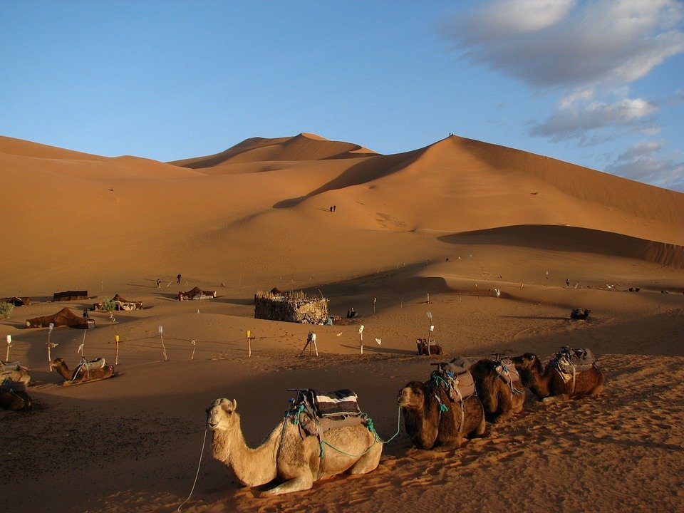 Casablanca To Erg Chebbi Tours , Guided Trips From Casablanca