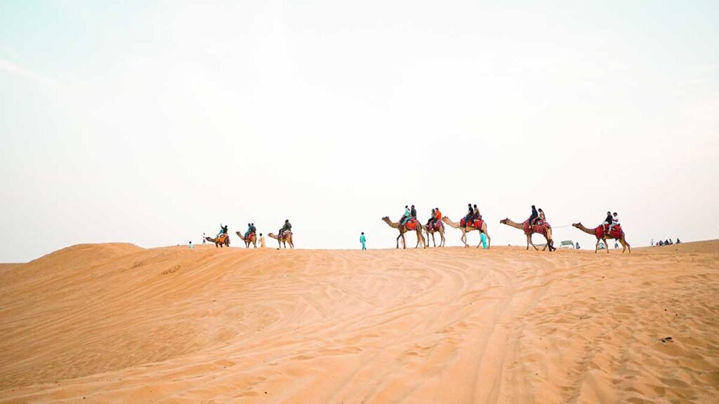 Camel Ride in Morocco
